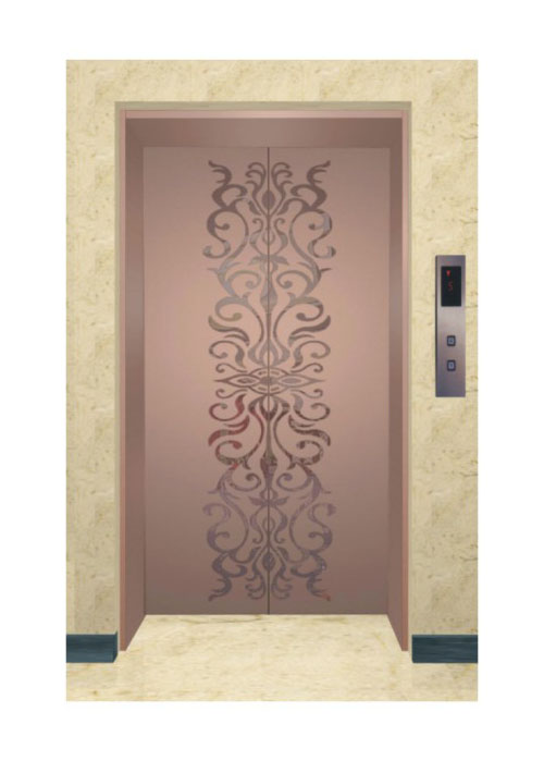 tm-12电梯厅门装潢